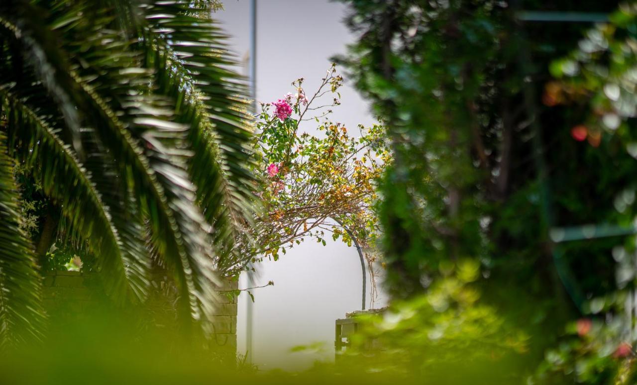 Apartments Villa Rudi Bibinje Εξωτερικό φωτογραφία