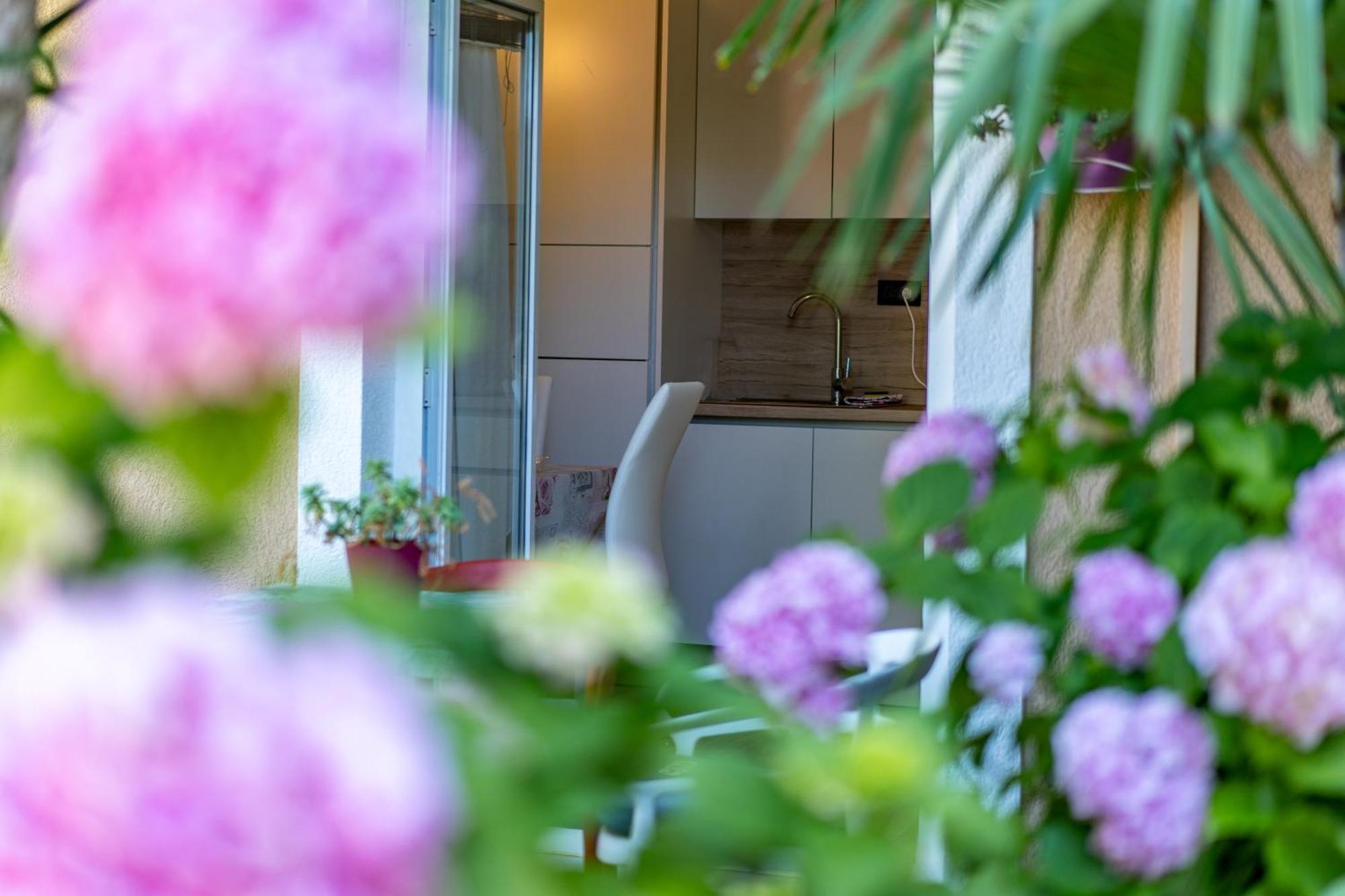 Apartments Villa Rudi Bibinje Εξωτερικό φωτογραφία